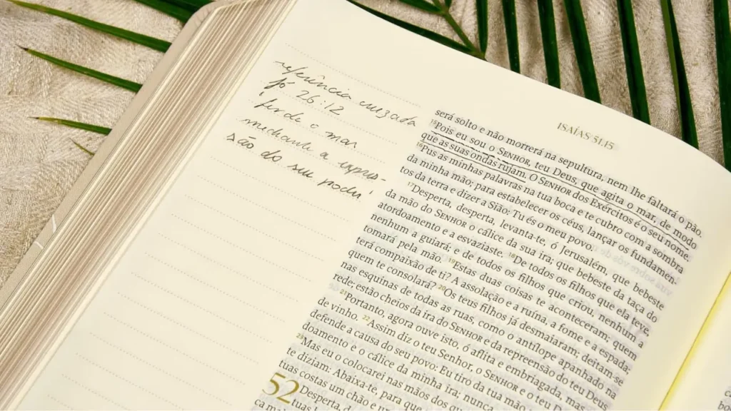 bíblia de estudos devocional